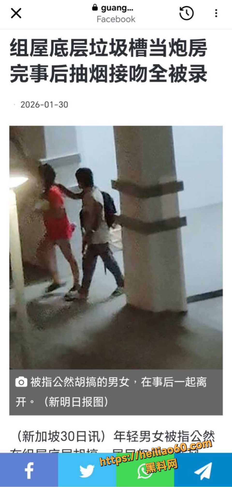 新加坡组屋垃圾槽野战事件1