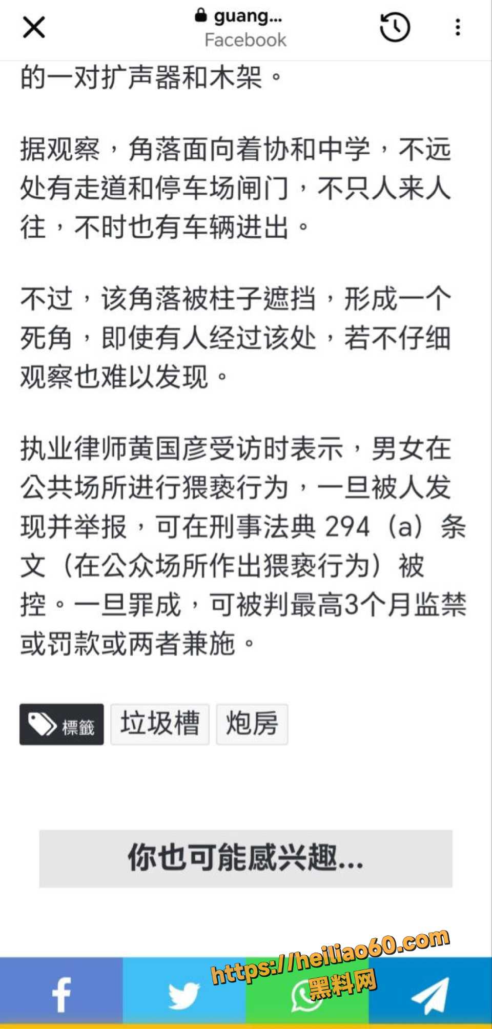新加坡组屋垃圾槽野战事件4