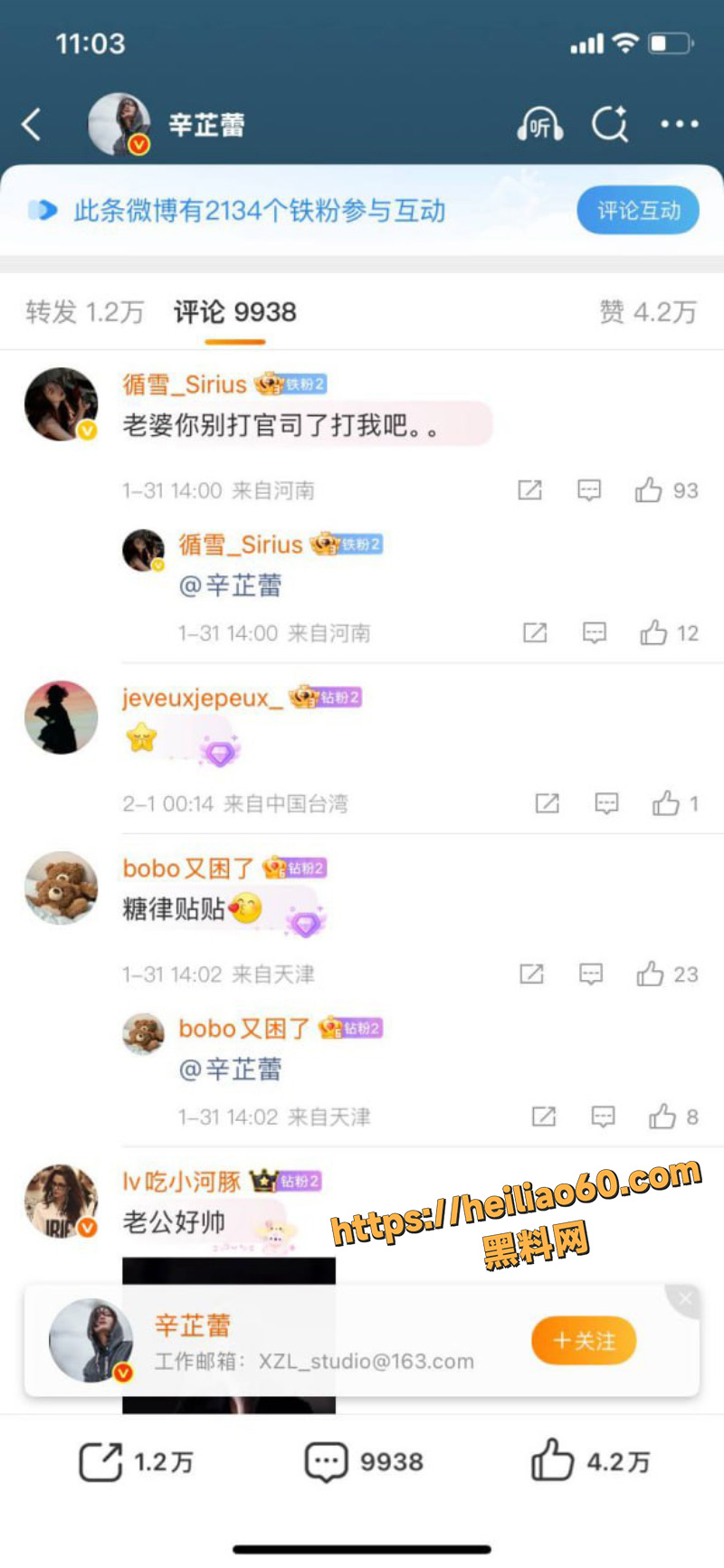 郝蕾