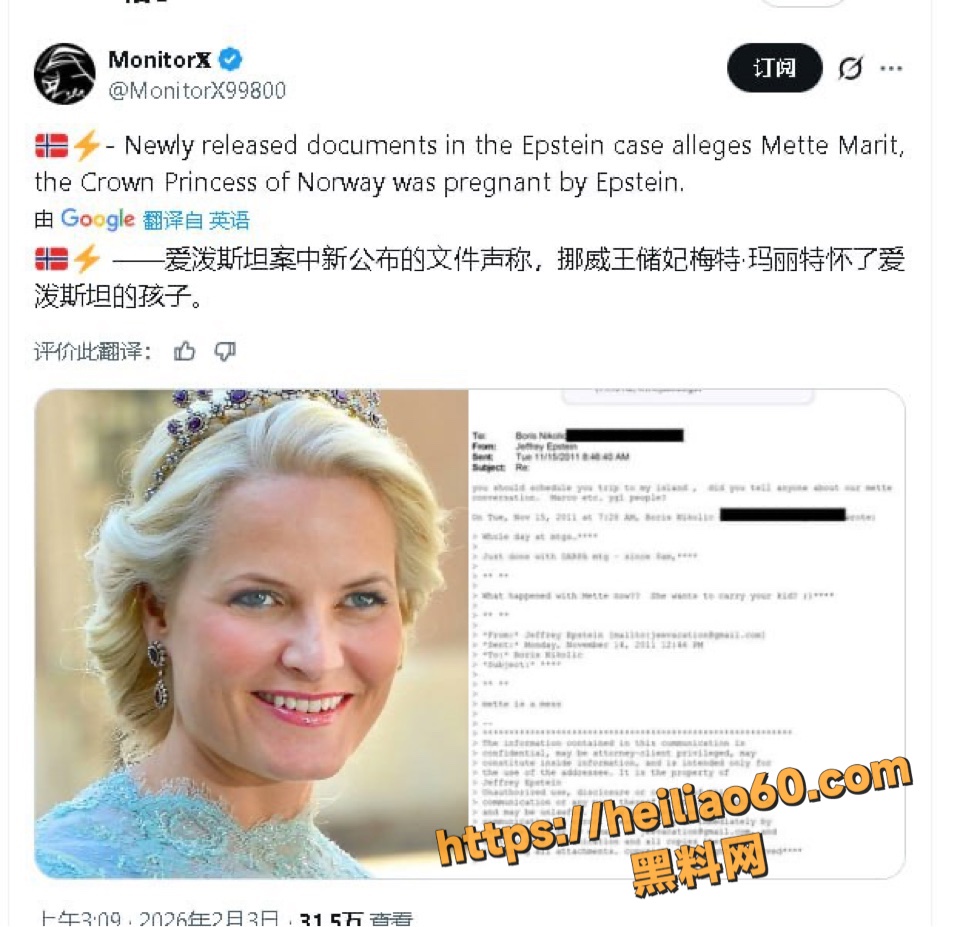 挪威王储妃梅特玛丽特怀孕事件2