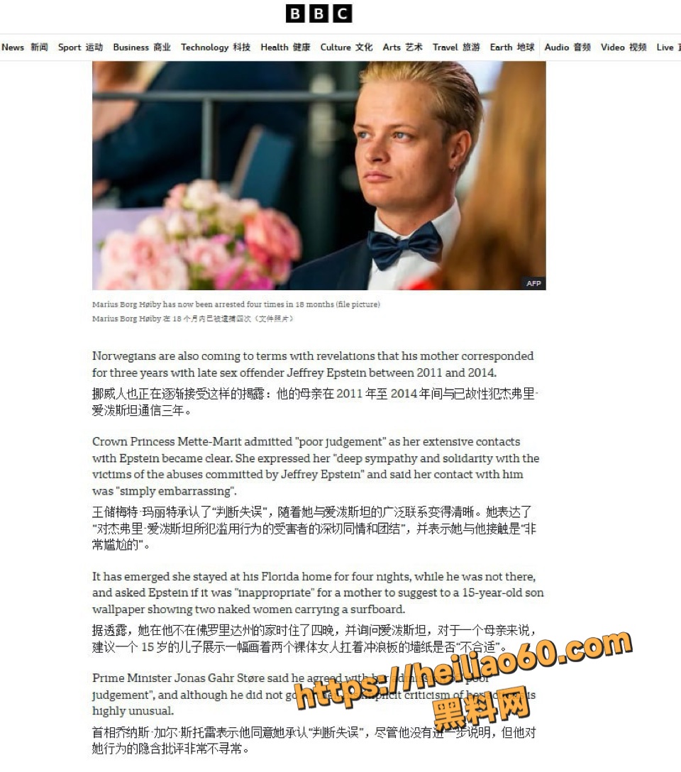 爱泼斯坦案瑞典索菲亚公主非洲见面曝光2