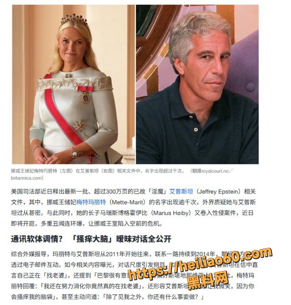 爱泼斯坦案瑞典索菲亚公主非洲见面曝光3