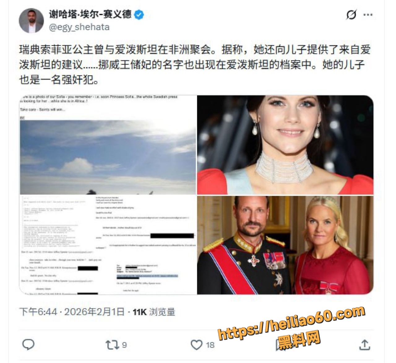 爱泼斯坦案瑞典索菲亚公主非洲见面曝光5