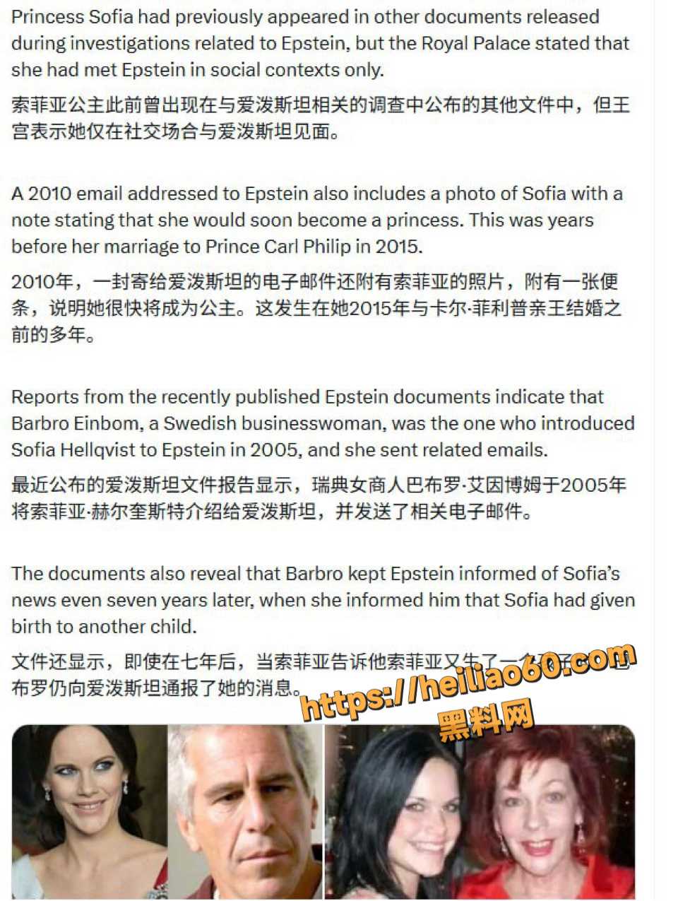 瑞典索菲亚公主王室黑料1