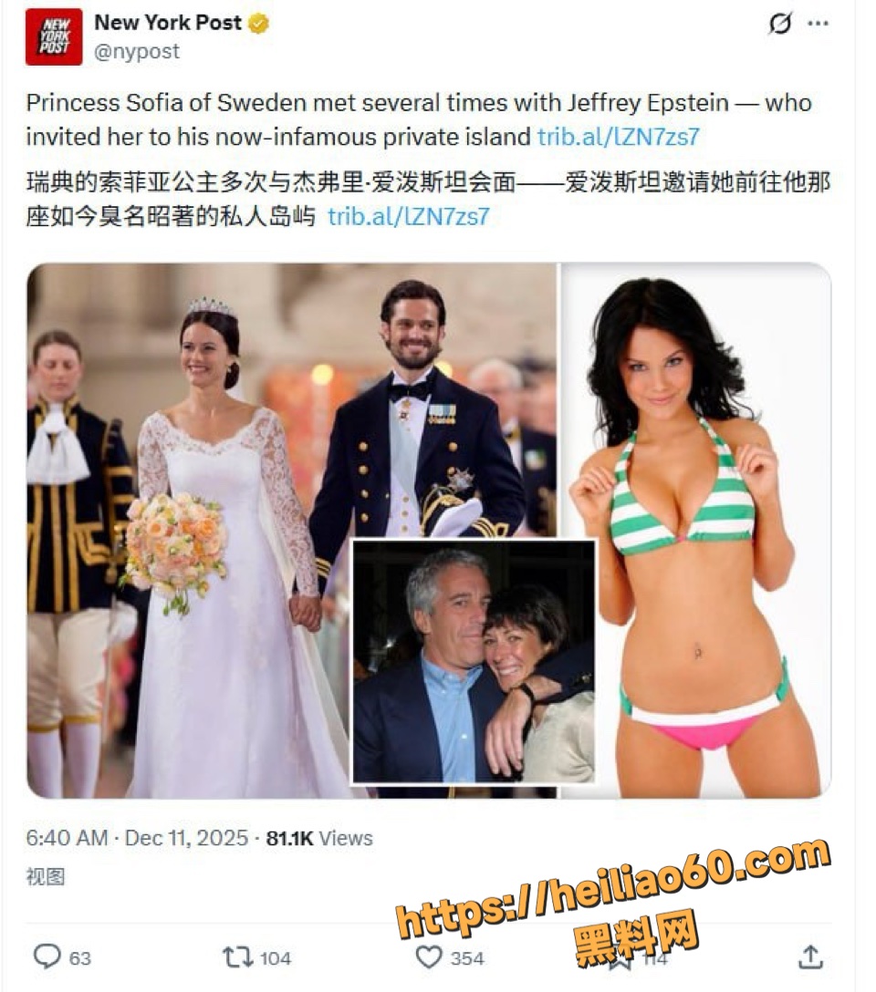 瑞典索菲亚公主王室黑料3