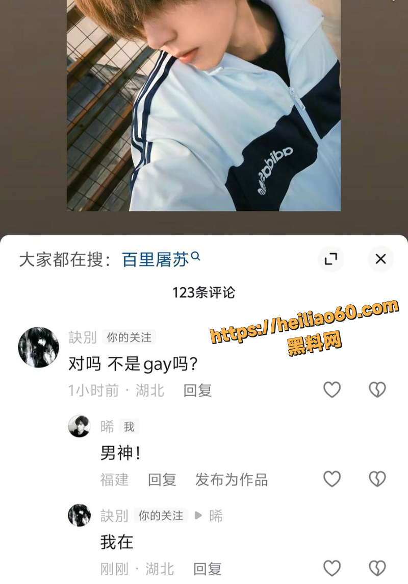AAA老王批发徐子潇大瓜3