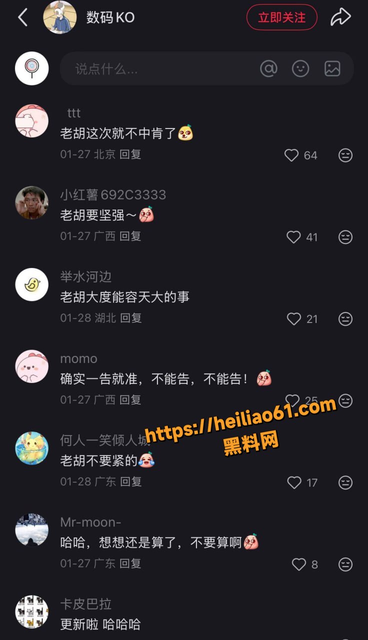 胡锡进老婆陪读妈妈11