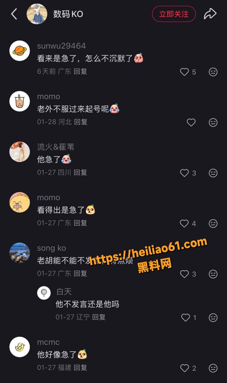 胡锡进老婆陪读妈妈12
