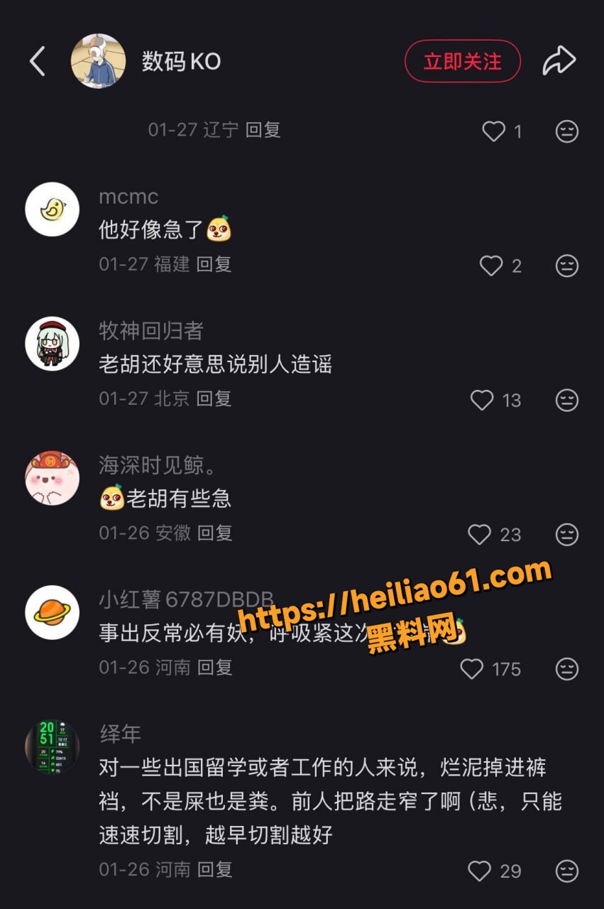 胡锡进老婆陪读妈妈14