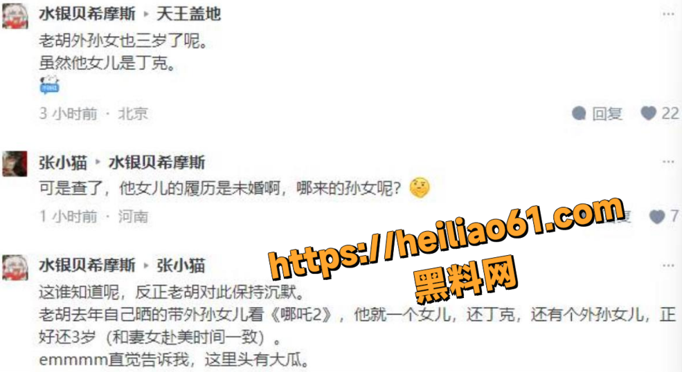 胡锡进老婆陪读妈妈15