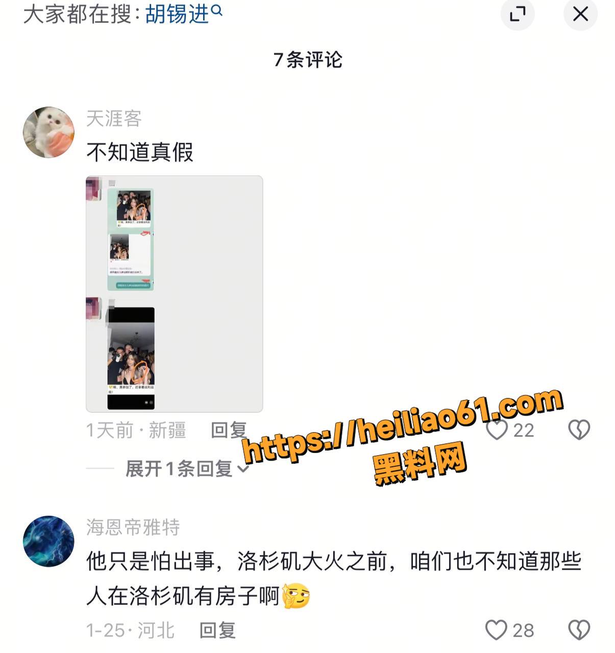 胡维佳美国留学淫乱史16