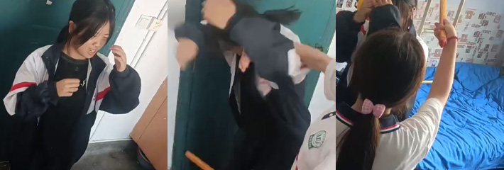 校园霸凌2