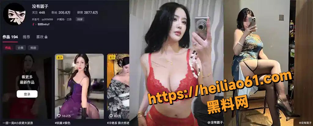 网红没有圆子擦边私拍5