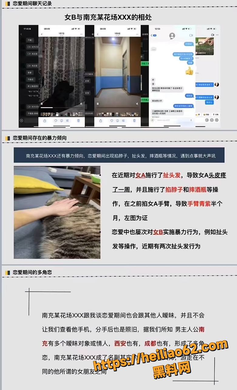 南充渣男李凯事件5