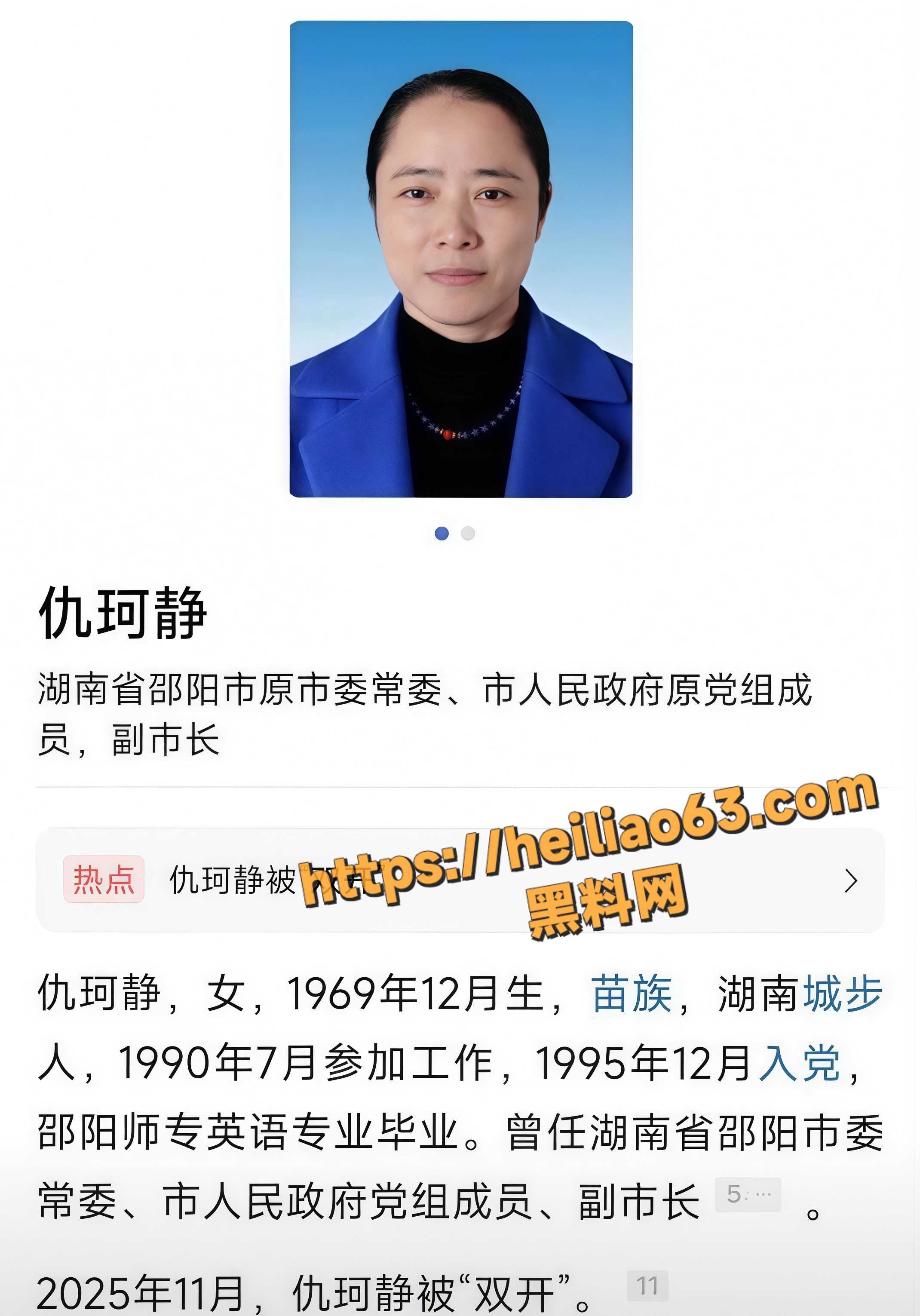 仇珂静最美副市长落马内幕 1