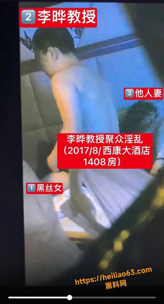 重庆李晔教授嫖娼证据曝光6
