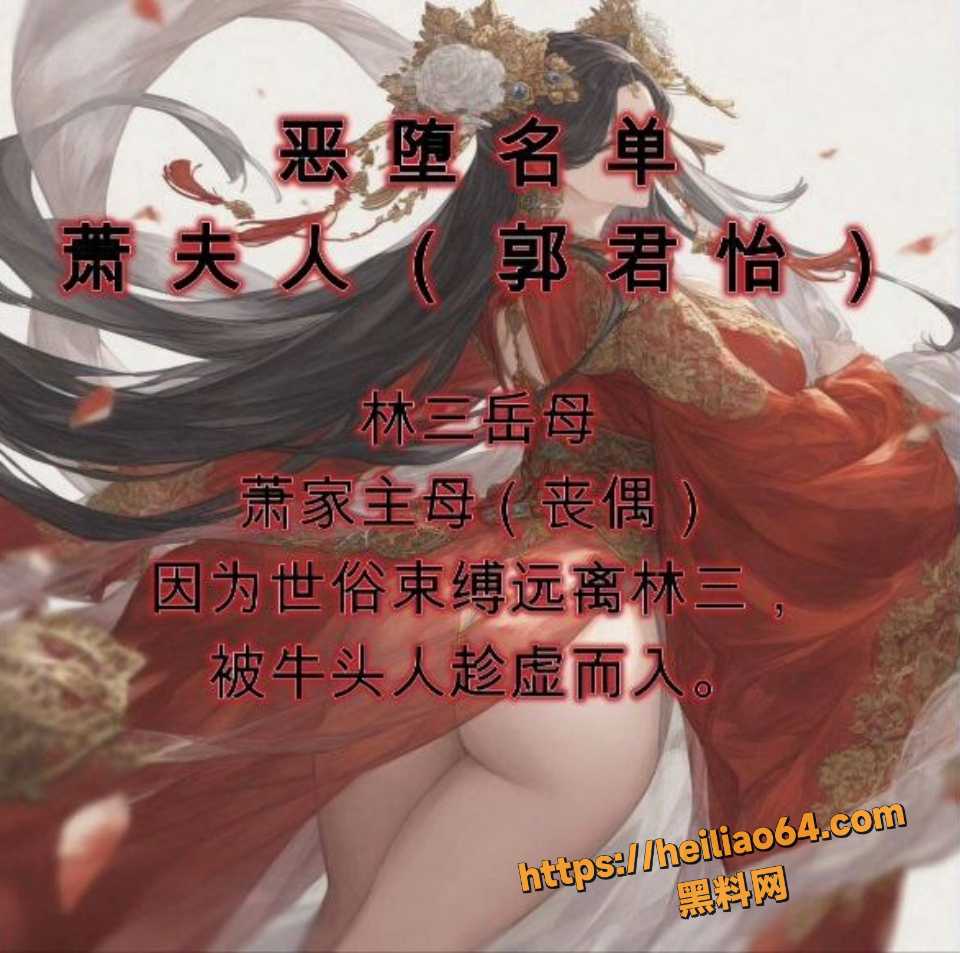 沪上阿姨资源合集3