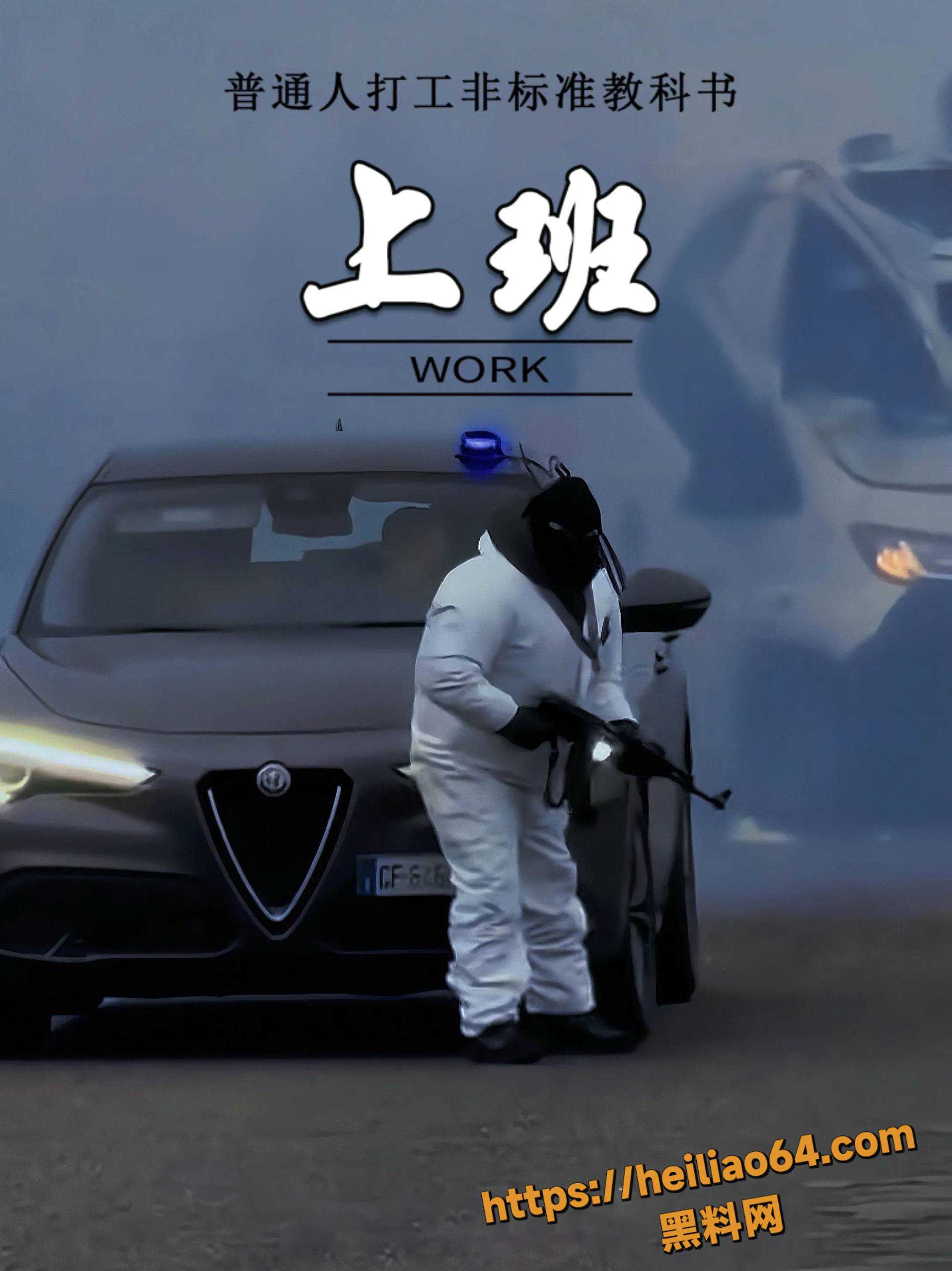 SS613高速公路抢劫视频