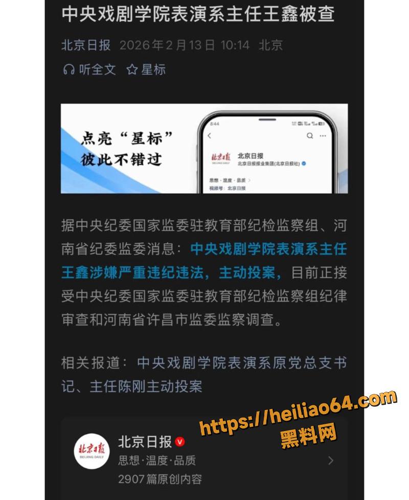 王鑫被查