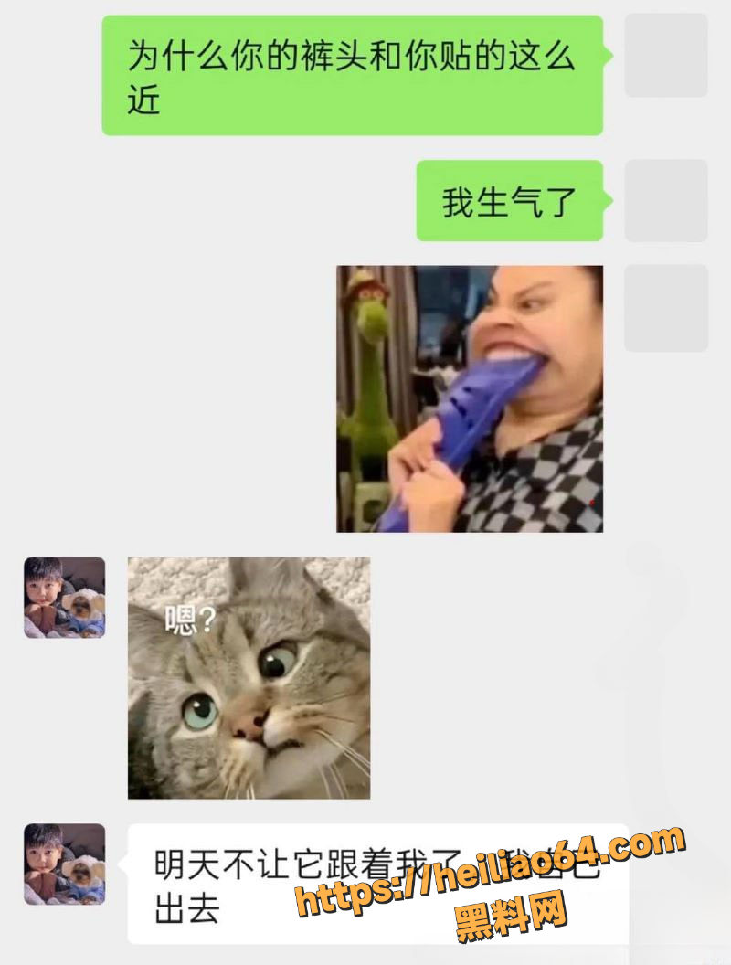 聊天记录 3