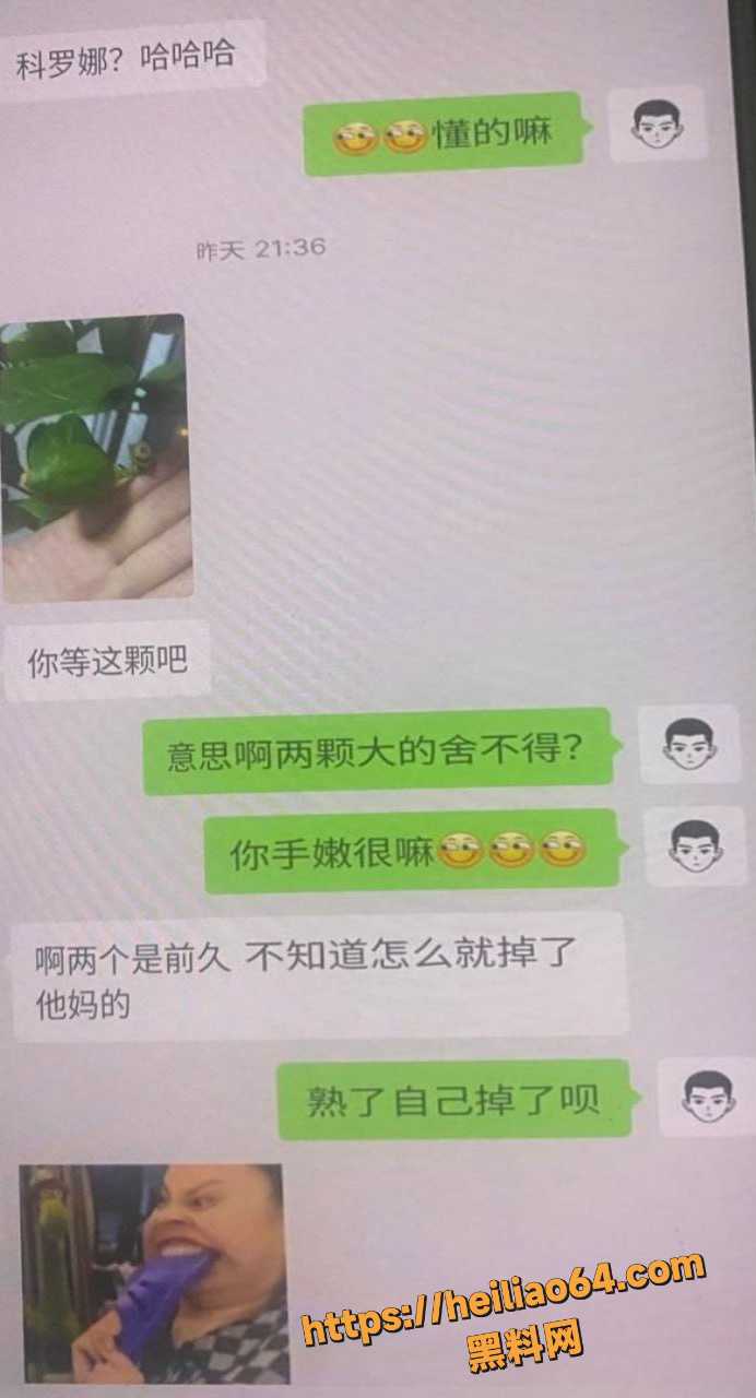 聊天记录 7