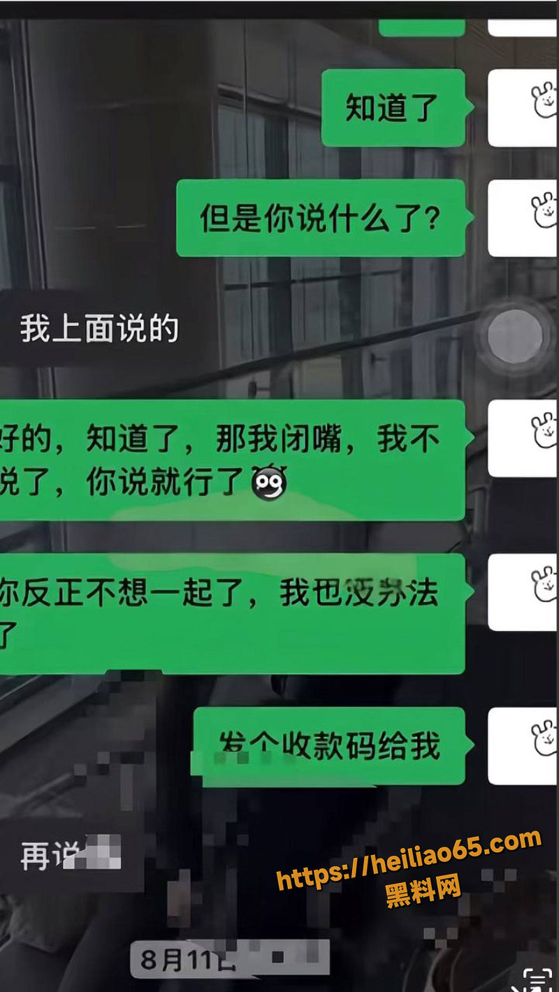 陈女士PUA索财聊天记录2