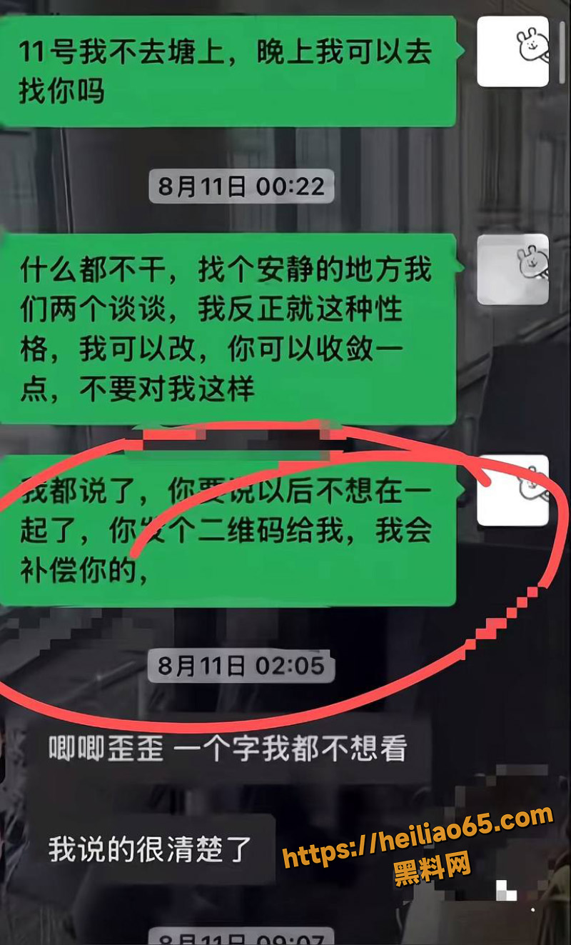 陈女士PUA索财聊天记录3