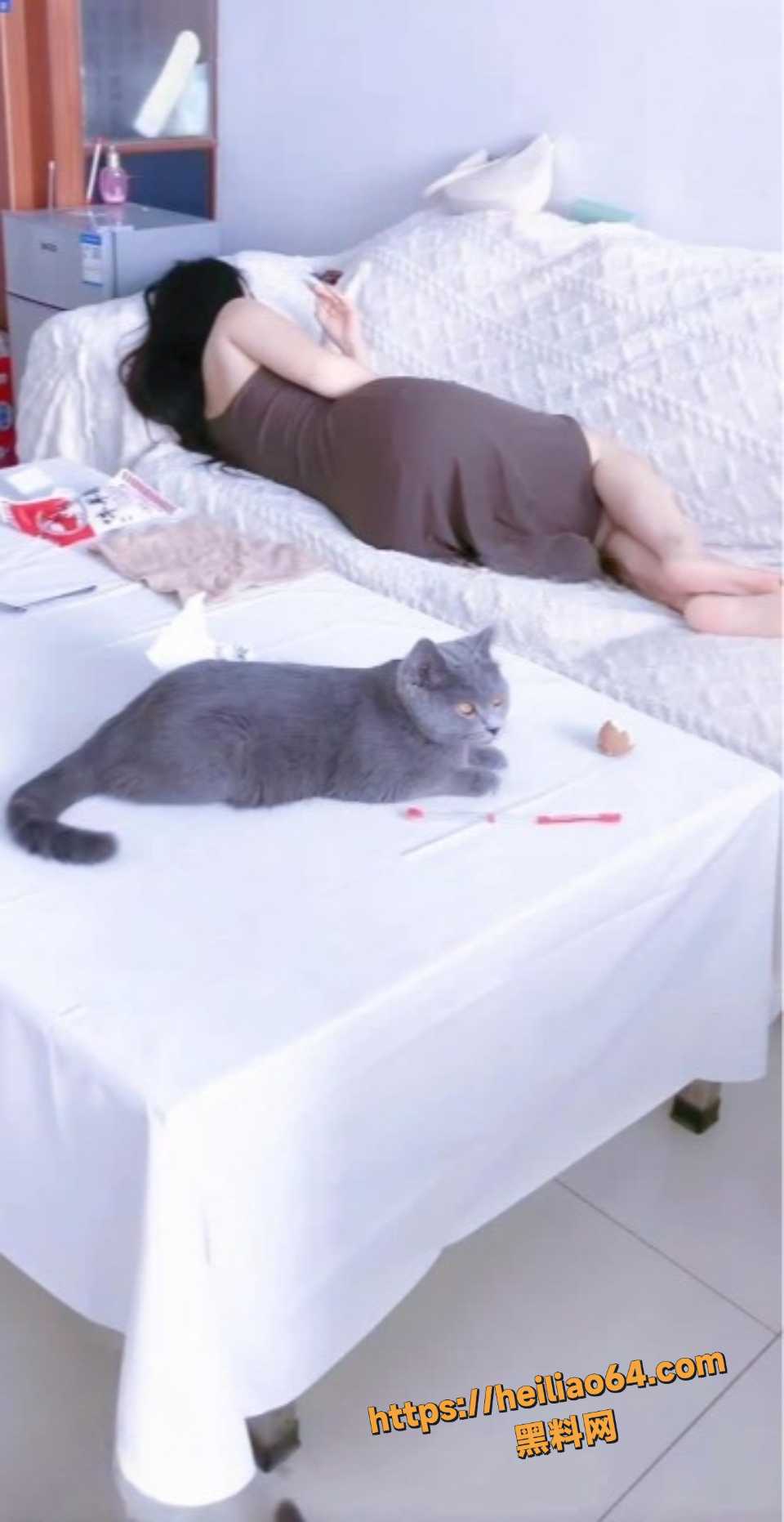 姐弟一世情15集10