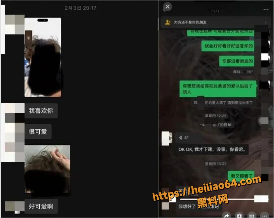 澳洲墨尔本陈某某脚踏两船曝光13