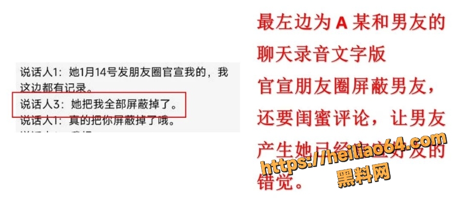 澳洲留洋陈某某聊天记录曝光5