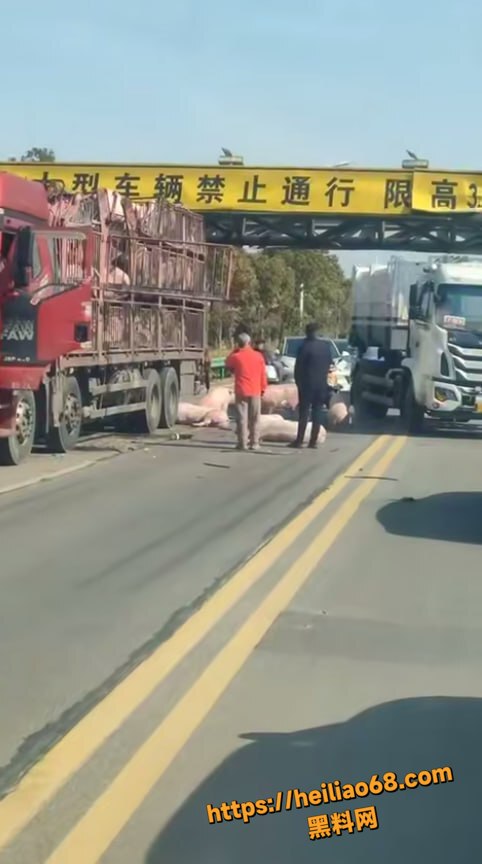 安徽颍上二桥拉猪车撞限高2