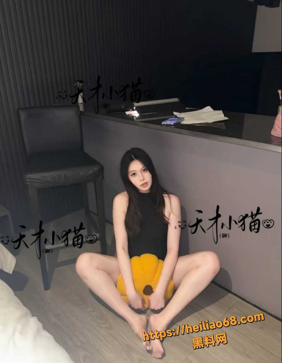 天才小猫咪福利合集11