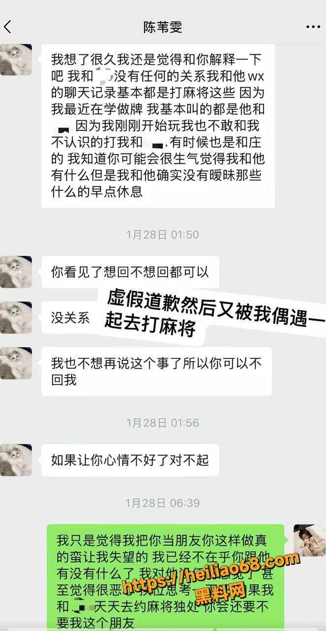 陈苇雯闺蜜门事件6