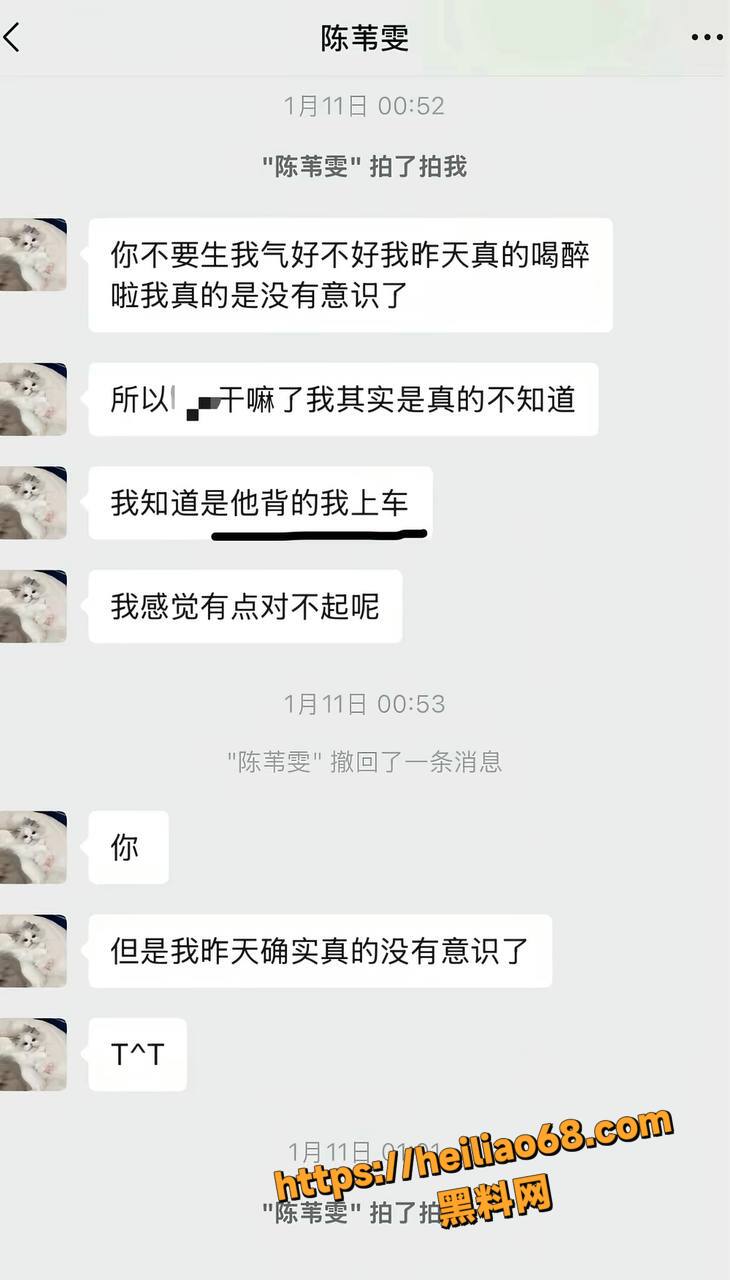 陈苇雯闺蜜门事件10