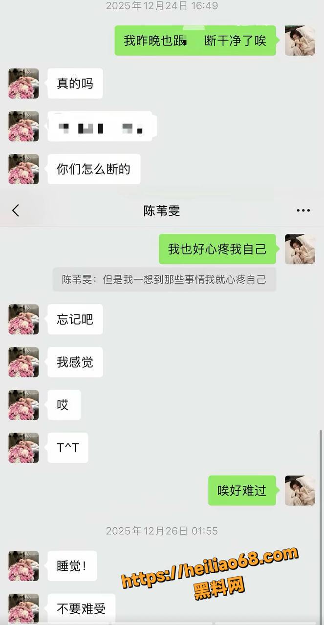 3ee控诉闺蜜陈雯雯雯15