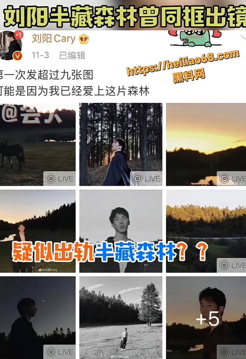 刘阳出轨1