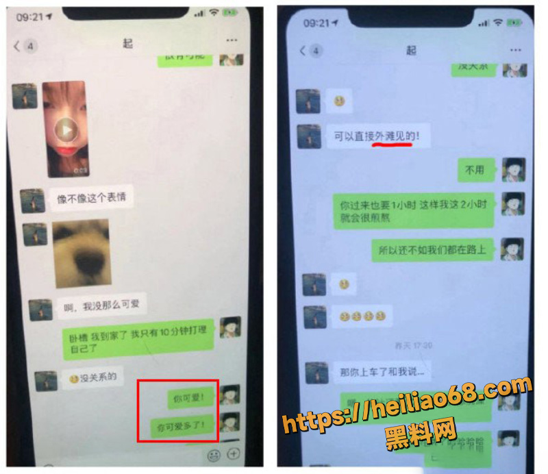 爱上一片森林2