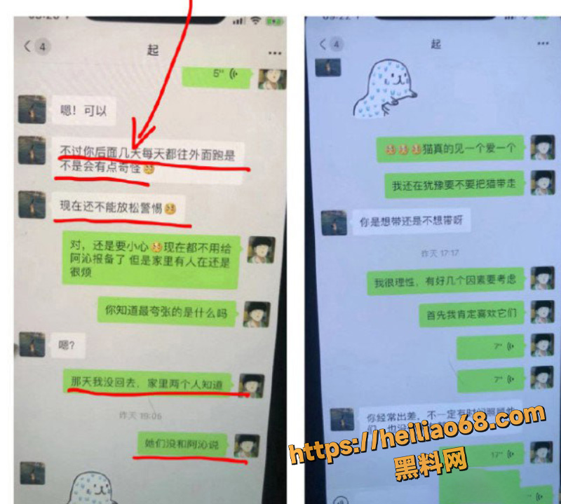 爱上一片森林3