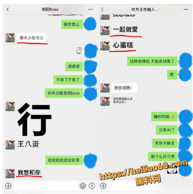 刘阳半藏森林2