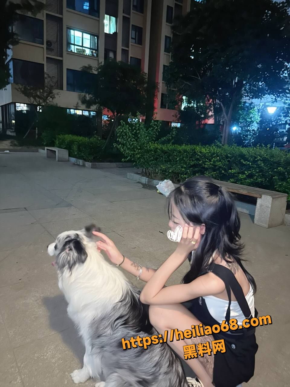 黑龙江刘锦性爱视频3