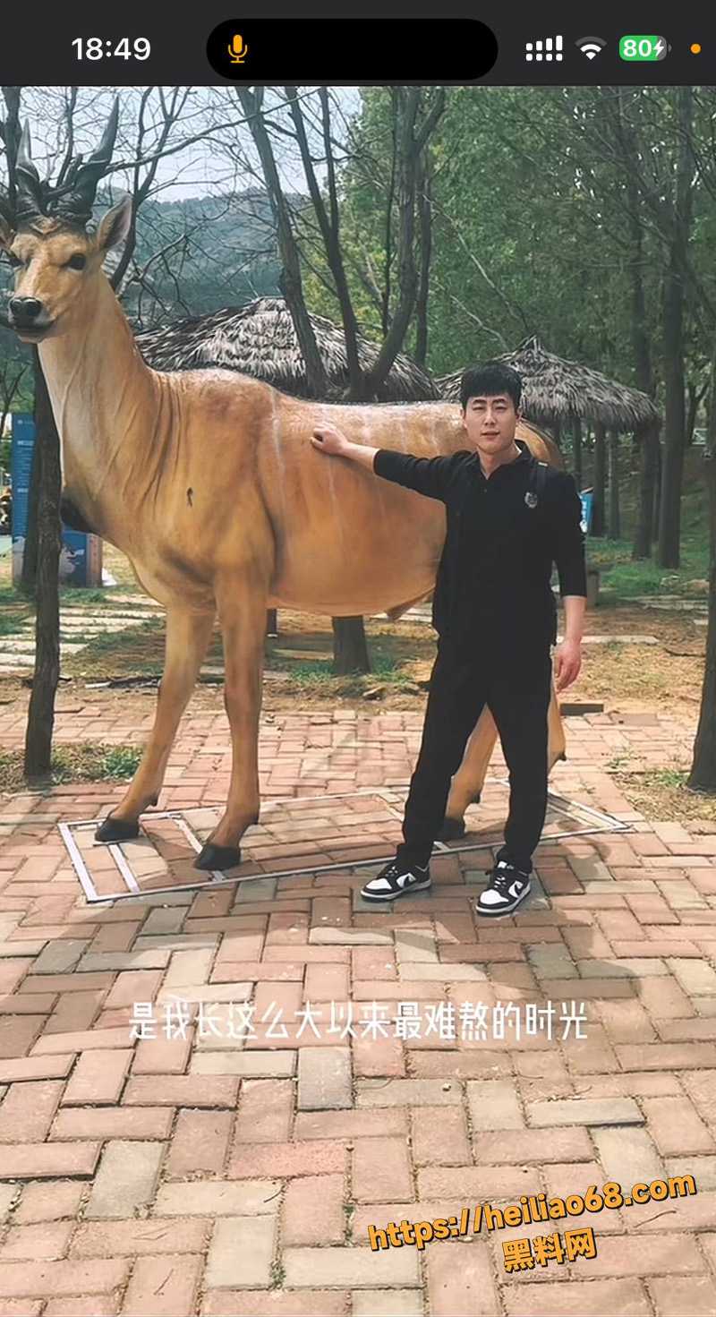 于新新不雅视频