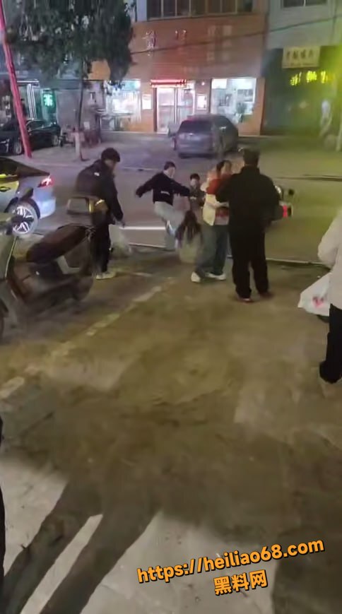 河南少女街头遭殴打7