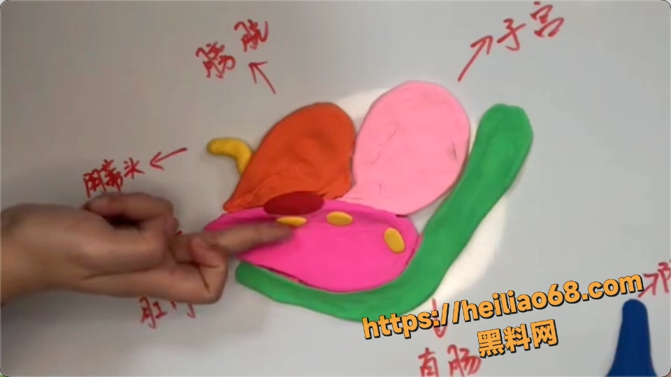 乔老师道具演示女性潮吹技巧6
