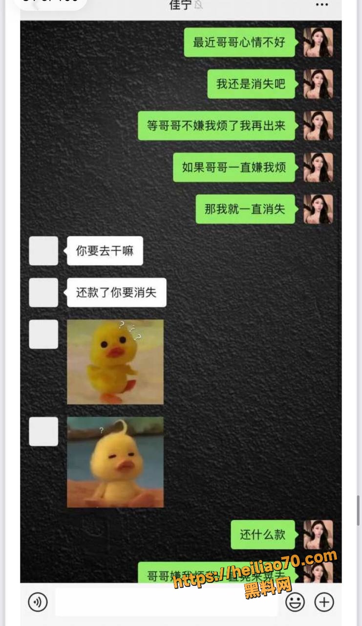 短剧演员罗佳宁PPT