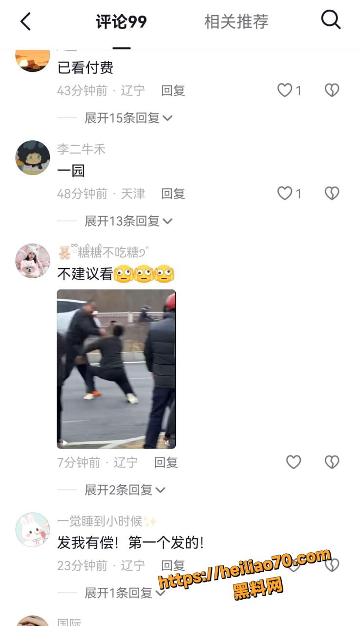 河北公路斧头砍人现场实录3