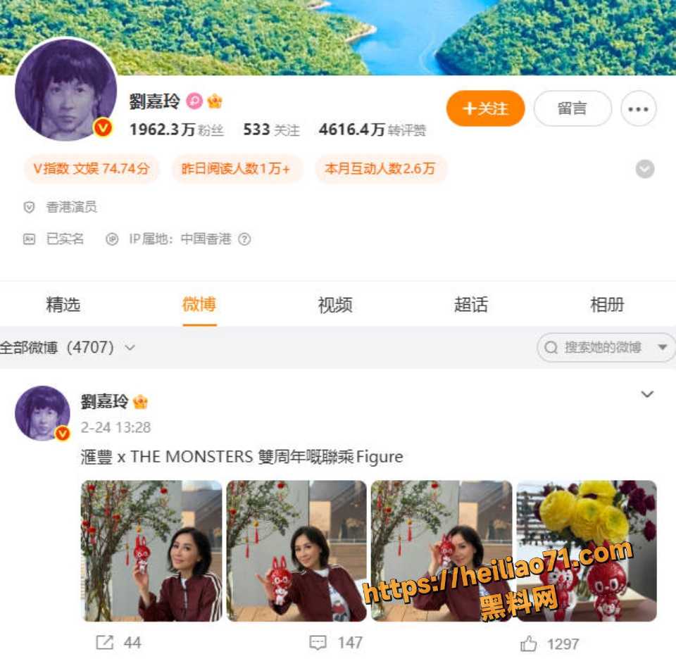 刘嘉玲小天章访谈往事视频1