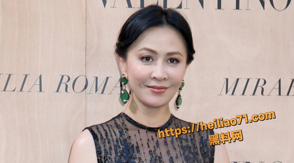 刘嘉玲小天章访谈往事视频2
