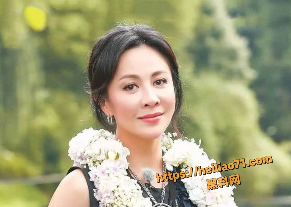 刘嘉玲小天章访谈往事视频3