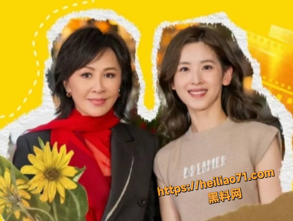 明星刘嘉玲绑架事件9