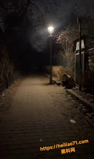 奇葩妹子深夜街头潮喷2